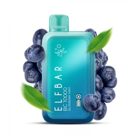 ELF BAR BC10000 - Blueberry Mint 5% - Aufladbar Nikotin Einweg e-Zigarette