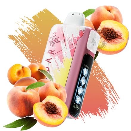 ELF BAR Ice King 40000 - Peach+ 5% - Rechargeable