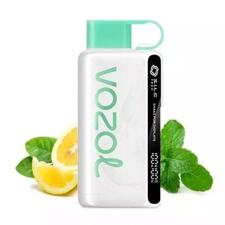 VOZOL Star 12000 - Lemon Mint 5% Nikotin Einweg e-Zigarette